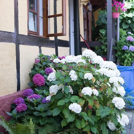 Guest house Hotel Klostergaarden 3*